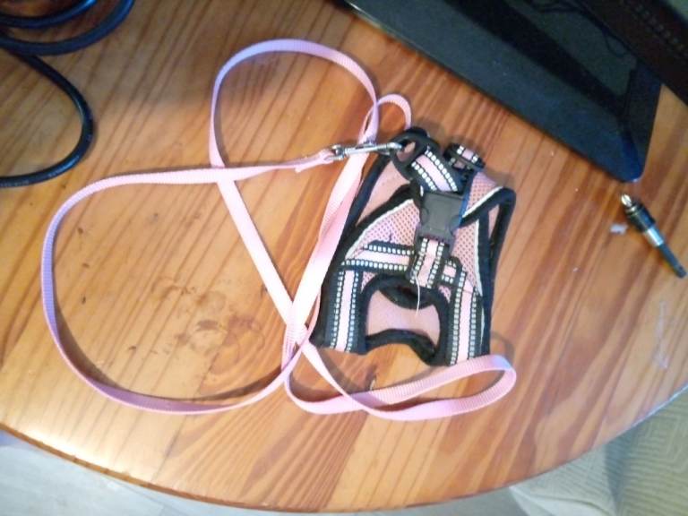 SMALL WEATHERPROOF DOG LEAD AND BRAND NEW DOG FOOD BOWLS 