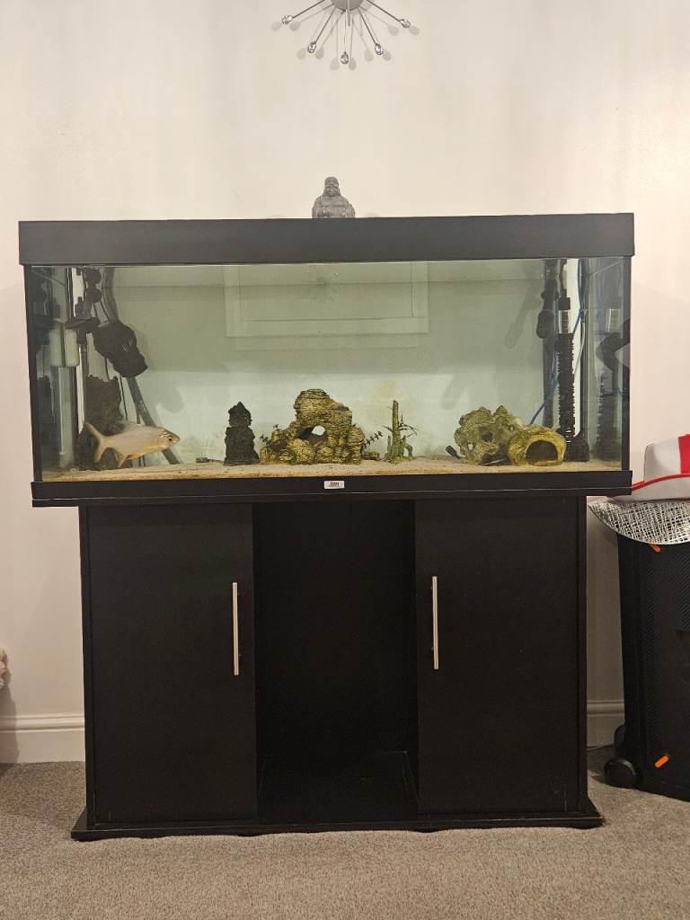 Fish tank 4ft jewel 240L