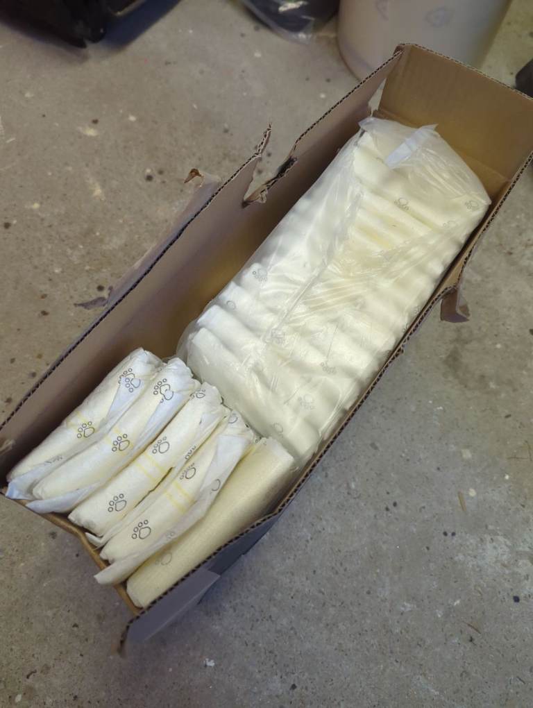 FREE male dog wrap nappies