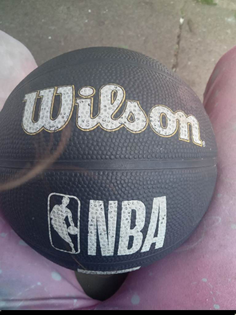 Wilson NBA Black Basketball - Size 3