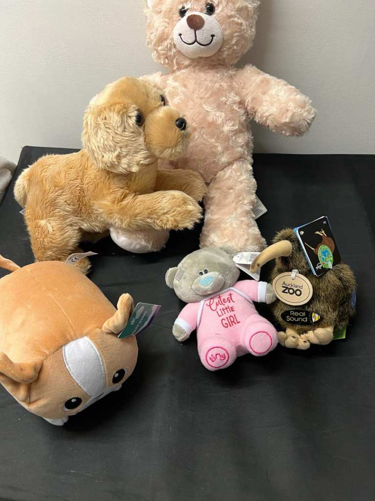 Childrens Teddy Bear Bundle