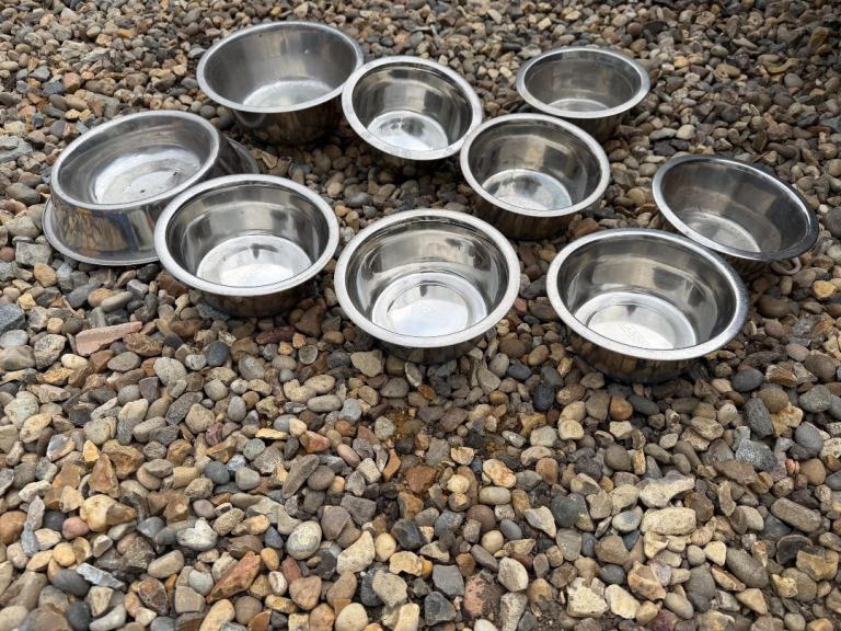 Dog bowls