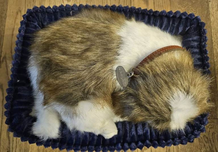 Perfect Petzzz - Shih Tzu interactive pet toy