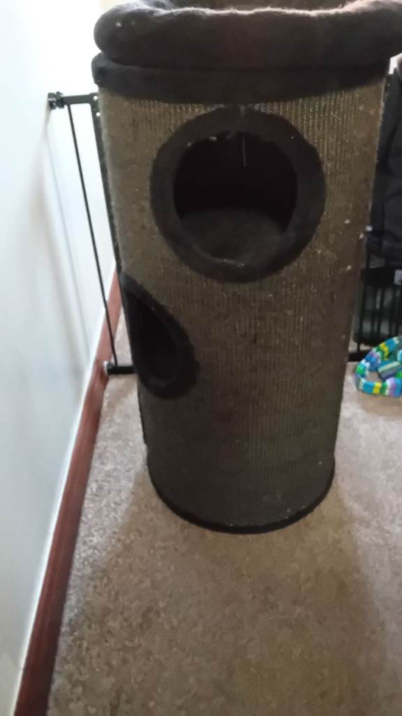 Cat Tower