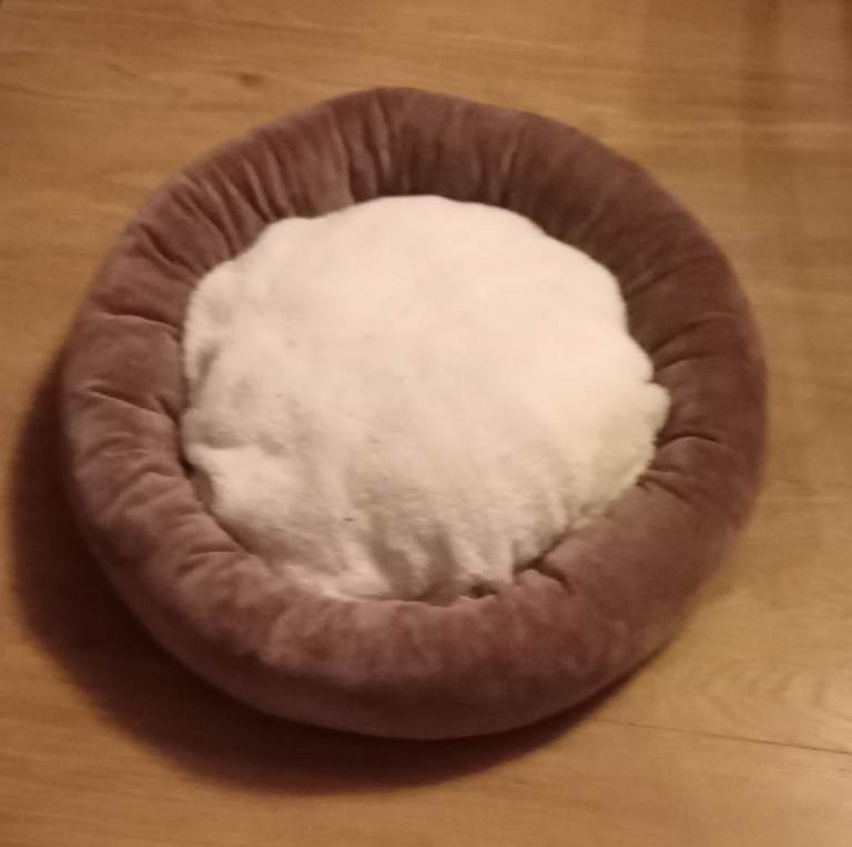 NEW CAT BED