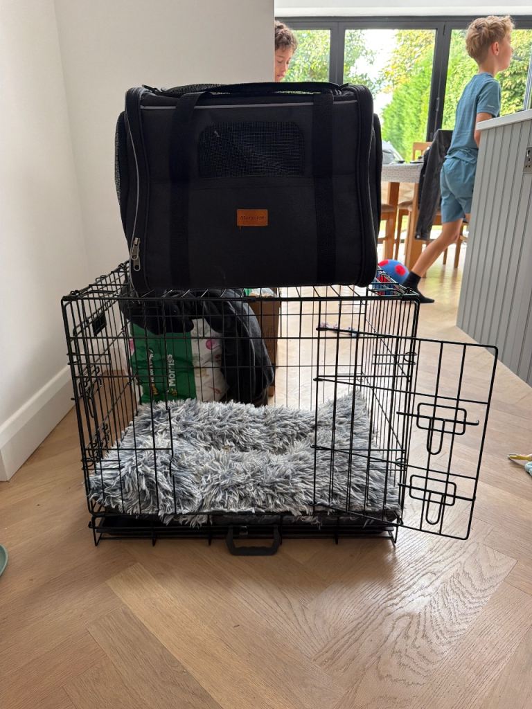 Small dog crate and carrier 