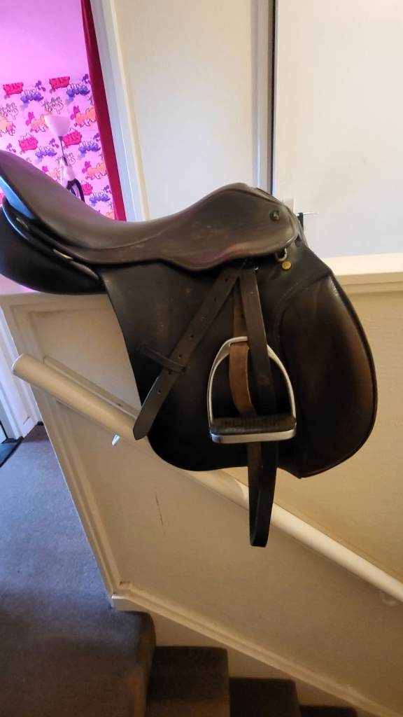 17 half inch extra wide Saddle and bridle 