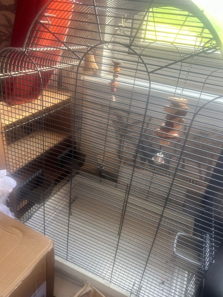 Bird cage 