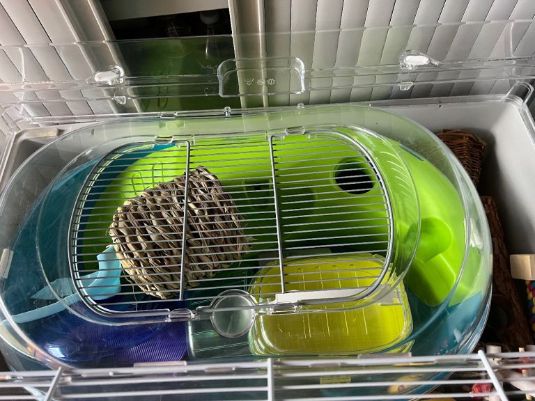 Hamster cages