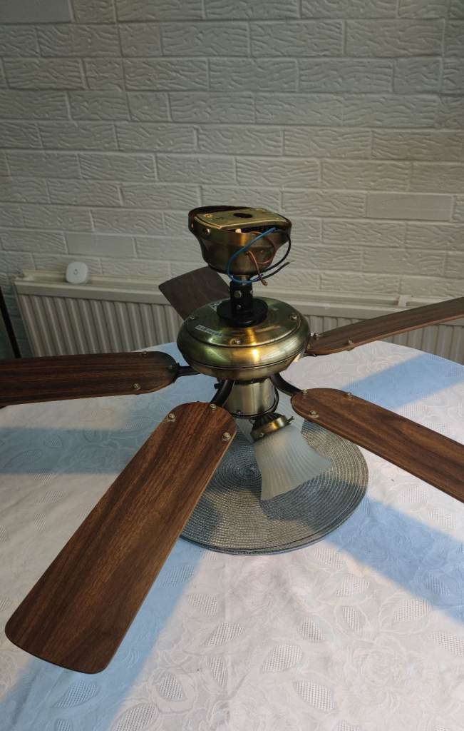 Ceiling light fan with shades