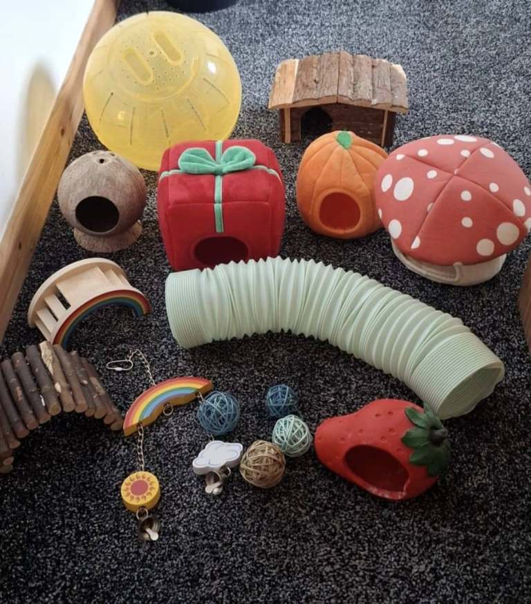Hamster cage accessories 
