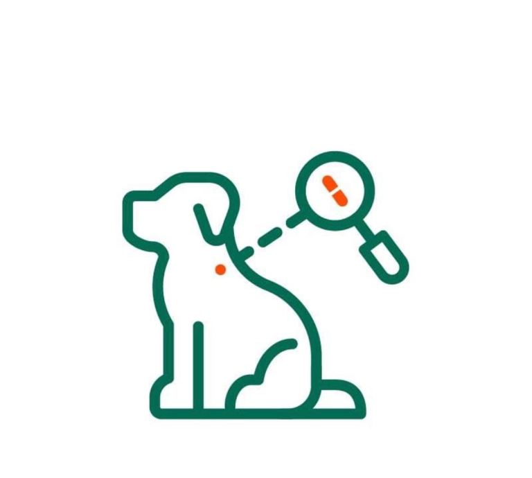 Linlconshire pet microchipping 