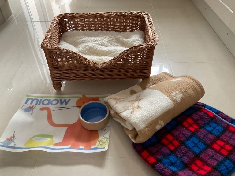 Cat/ small dog basket and accessories 