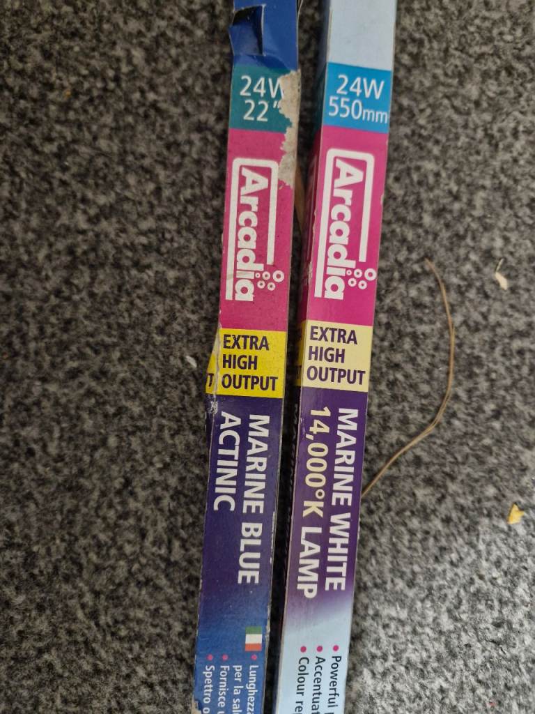 Marine light blue white lamp actinic arcadia acquarium 