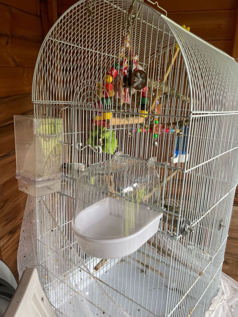 large Birds cage 