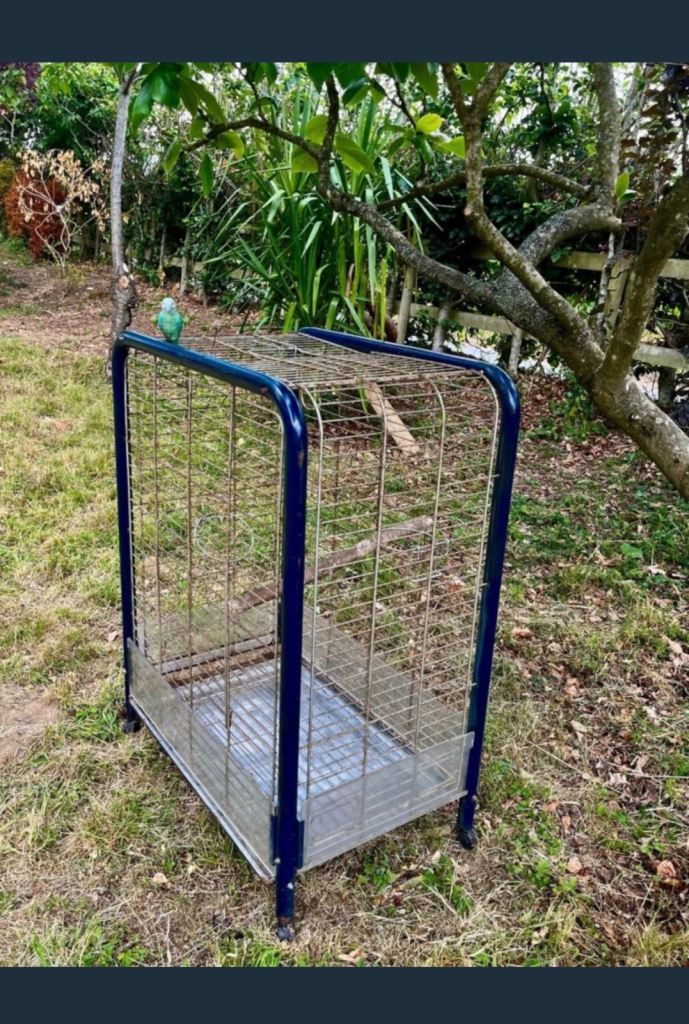Large Sturdy Bird/small animal cage on castors