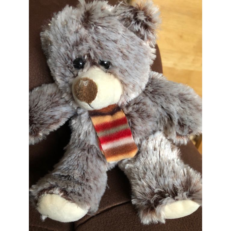 Small teddy bear