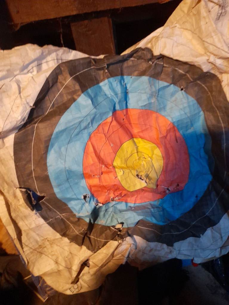 Cross bow archery target