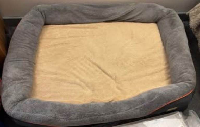 Bingo Paw Dog Bed