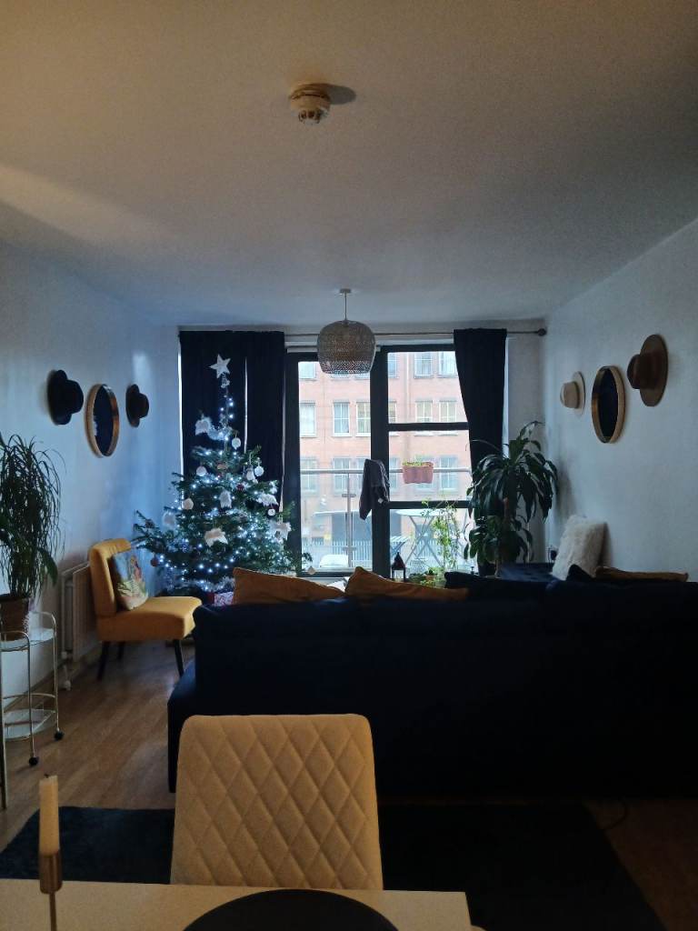 Apt to rent Belfast city centre  6months lease only