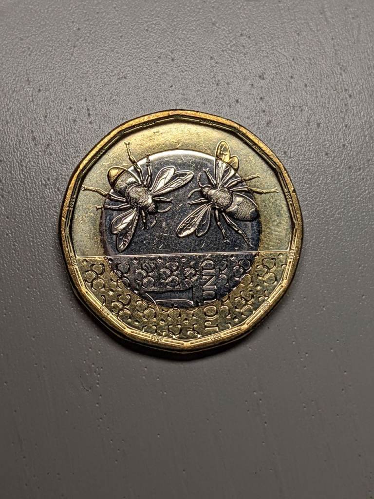 King Charles lll £1 bee coin