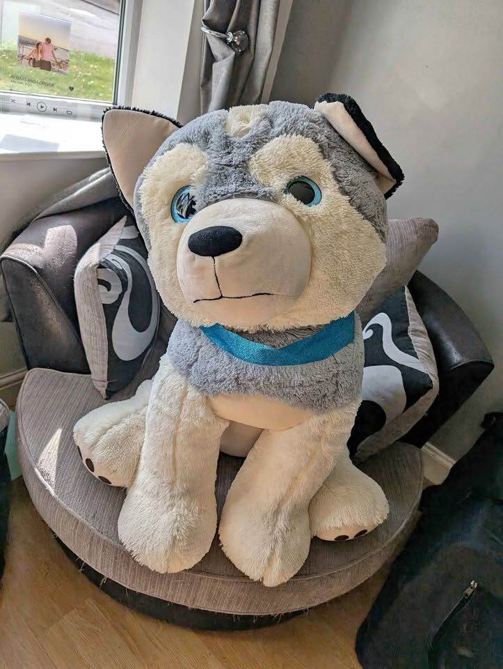 Large Dog - LOVELY GIFTS - soft toy , free local delivery , just ask