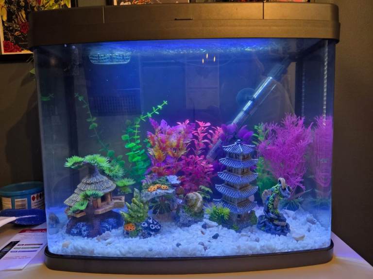 Brand new fish tank with extras 