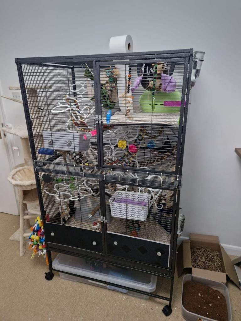Free CozyPet large rat cage 