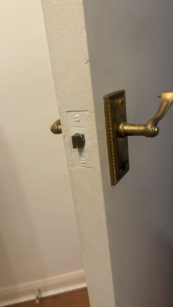 ZOO Silver Door Handles with Latch – Good Condition