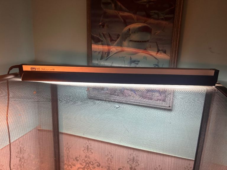 Reptile Heated lighting kits with bulbs and tube 