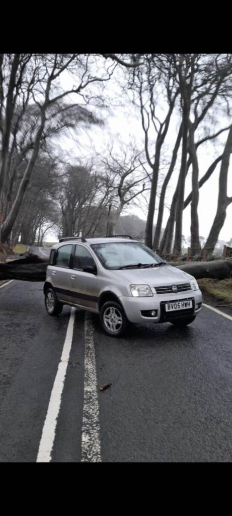 Fiat, PANDA, Hatchback, 2005, Manual, 1242 (cc), 5 doors