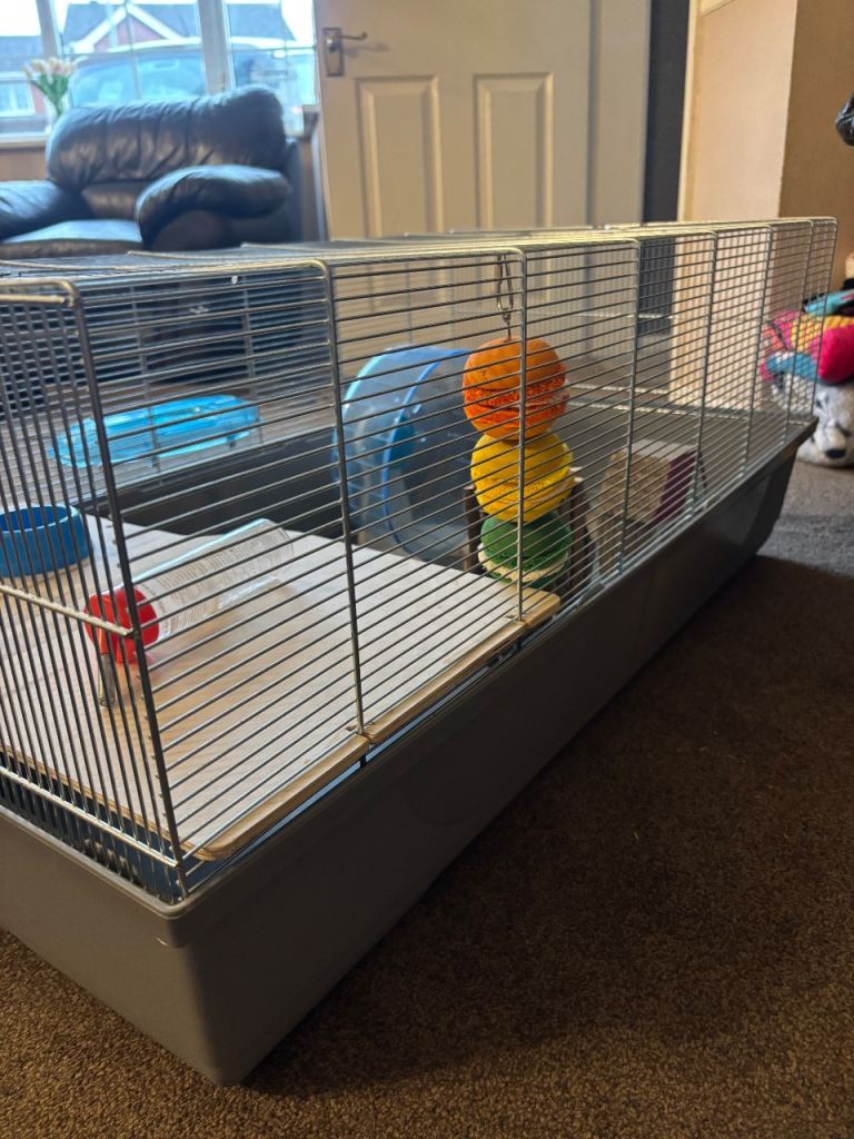 Hamster Cage