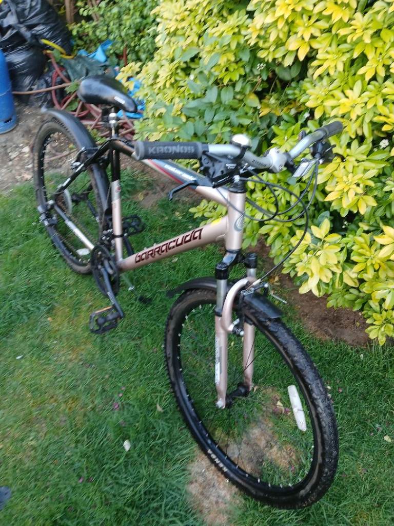 Men's Barracuda Colorado Bike
