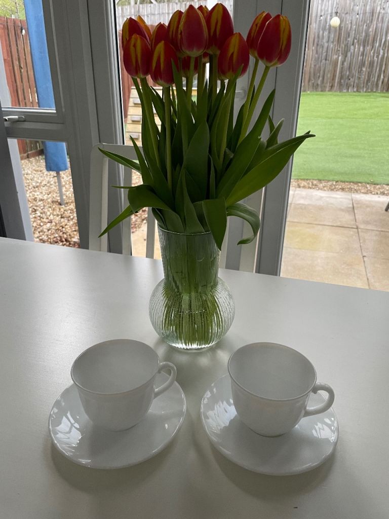 100 Arcopal French Milk Glass Cups And Saucers 