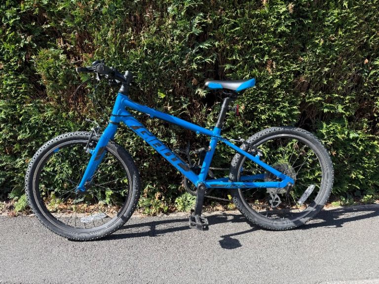 Giant ARX 20 children’s bike in excellent condition.