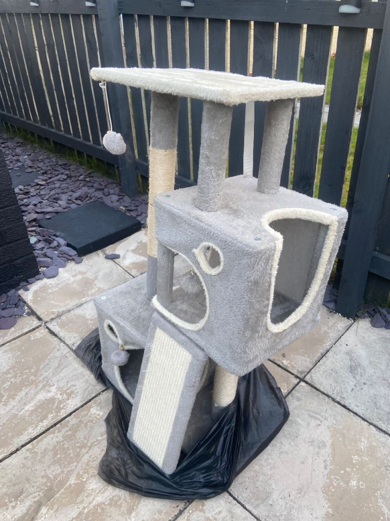 cat tree 