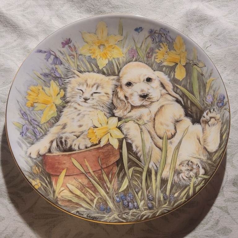 Royal Worcester 'Dozing in the Daffodils' Collector Plate – Fine Bone China  (J5)