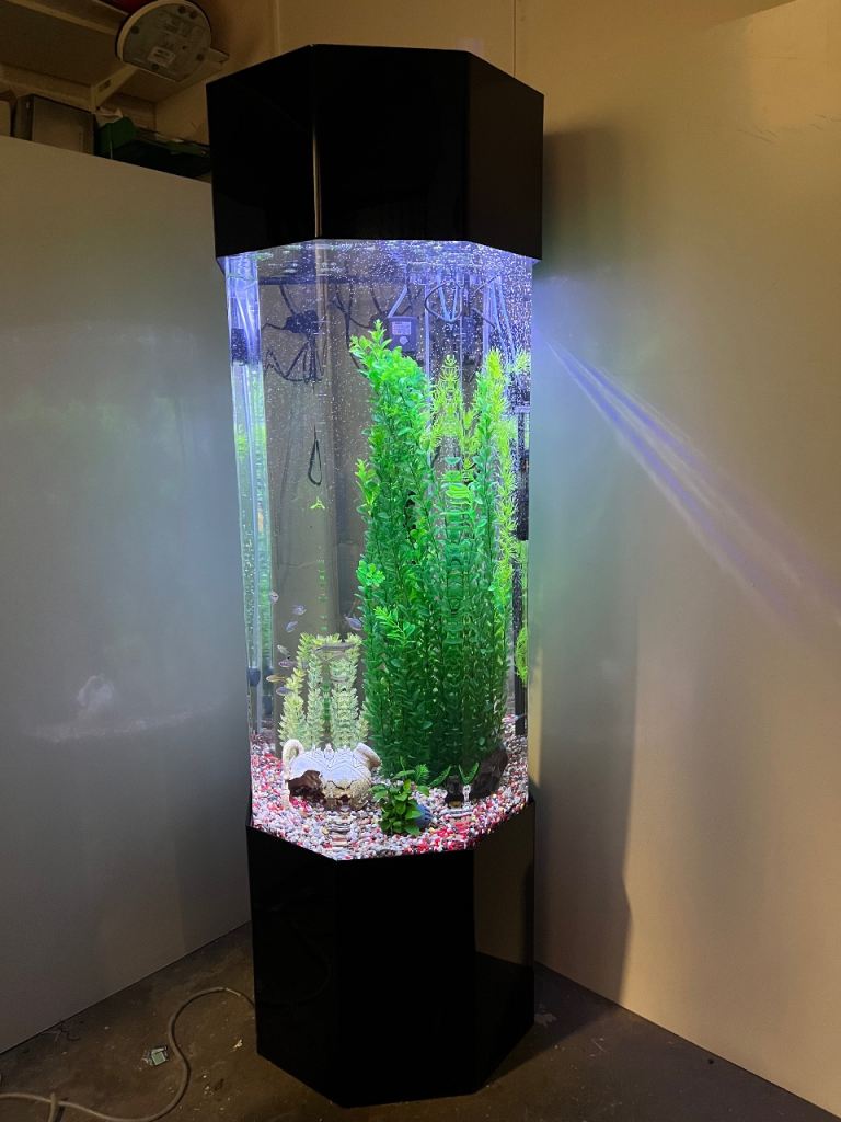 Aquarium fish tank new unused 