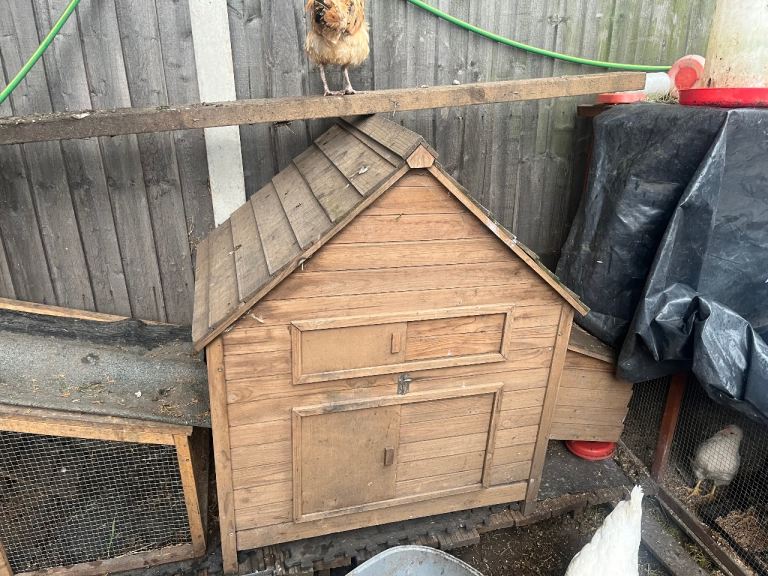 Chicken hutch 