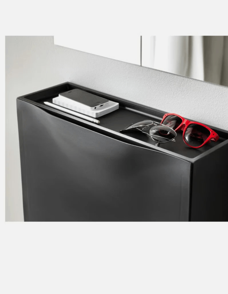 Shoe storage black 