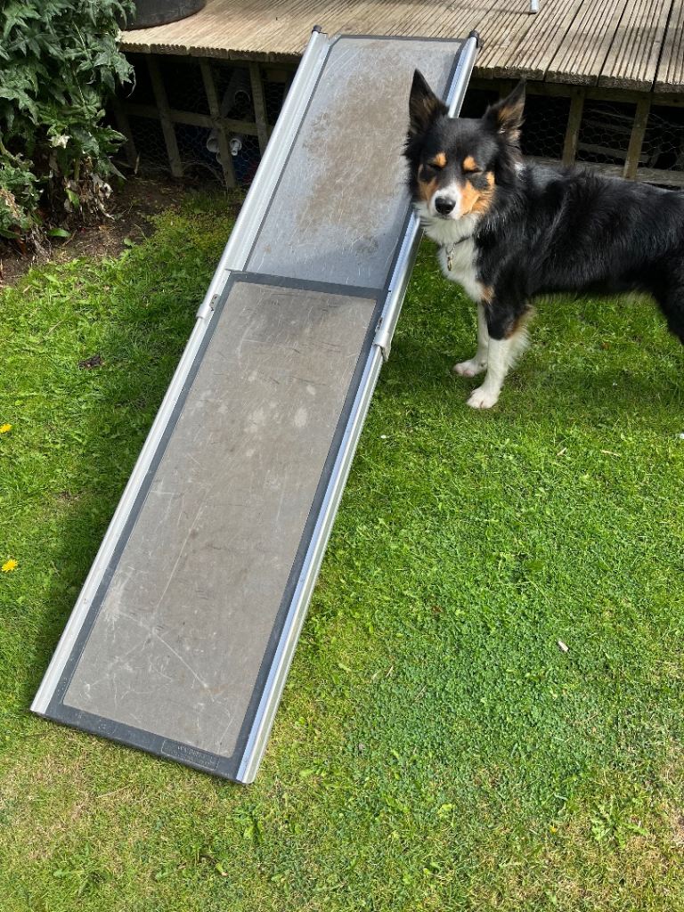 Dog ramp