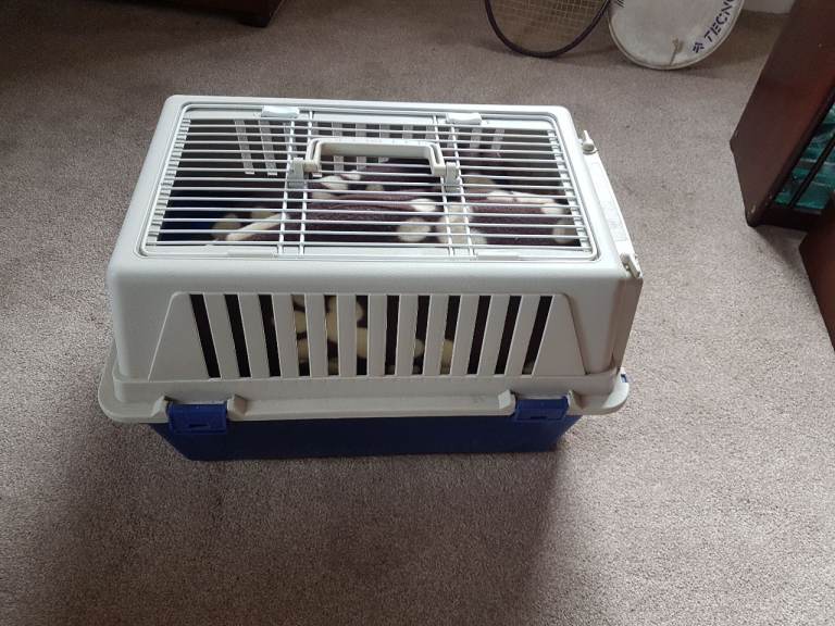 Cat carrier box