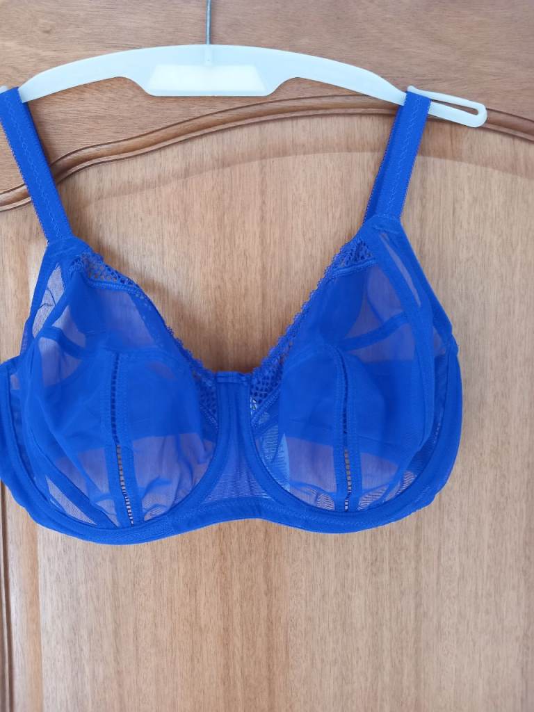 Blue Full Cup Bra