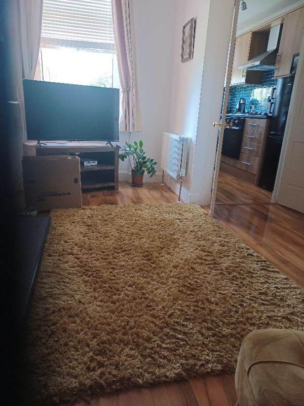 NEXT rug