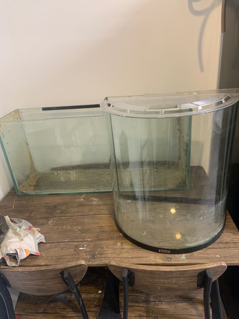 Pair of Used Glass Fish Tanks – Curved & Rectangular