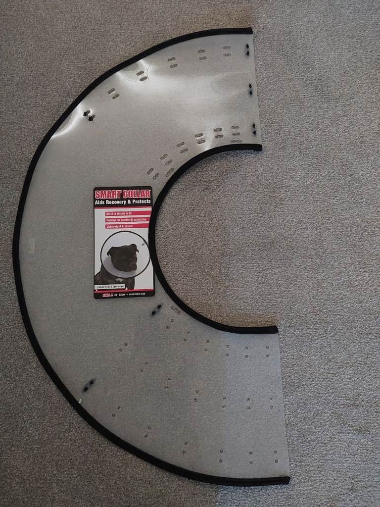 Dogs Recovery Collar 