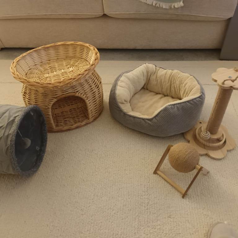Cat beds and toys