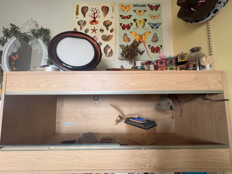 Vivexotic vivarium for small reptiles (4ft x 21 inch x 19 inch)