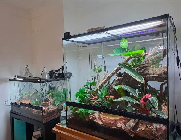 Exo Terra 90x45x90cm Glass Terrarium Vivarium – Excellent Conditiod