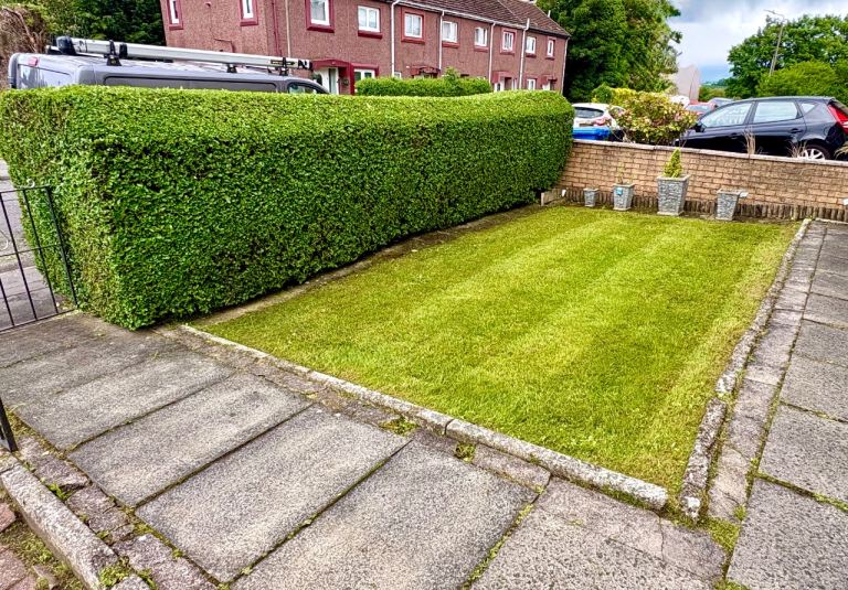 Grass cutting, hedge trimming, maintenance, garden tidy ups